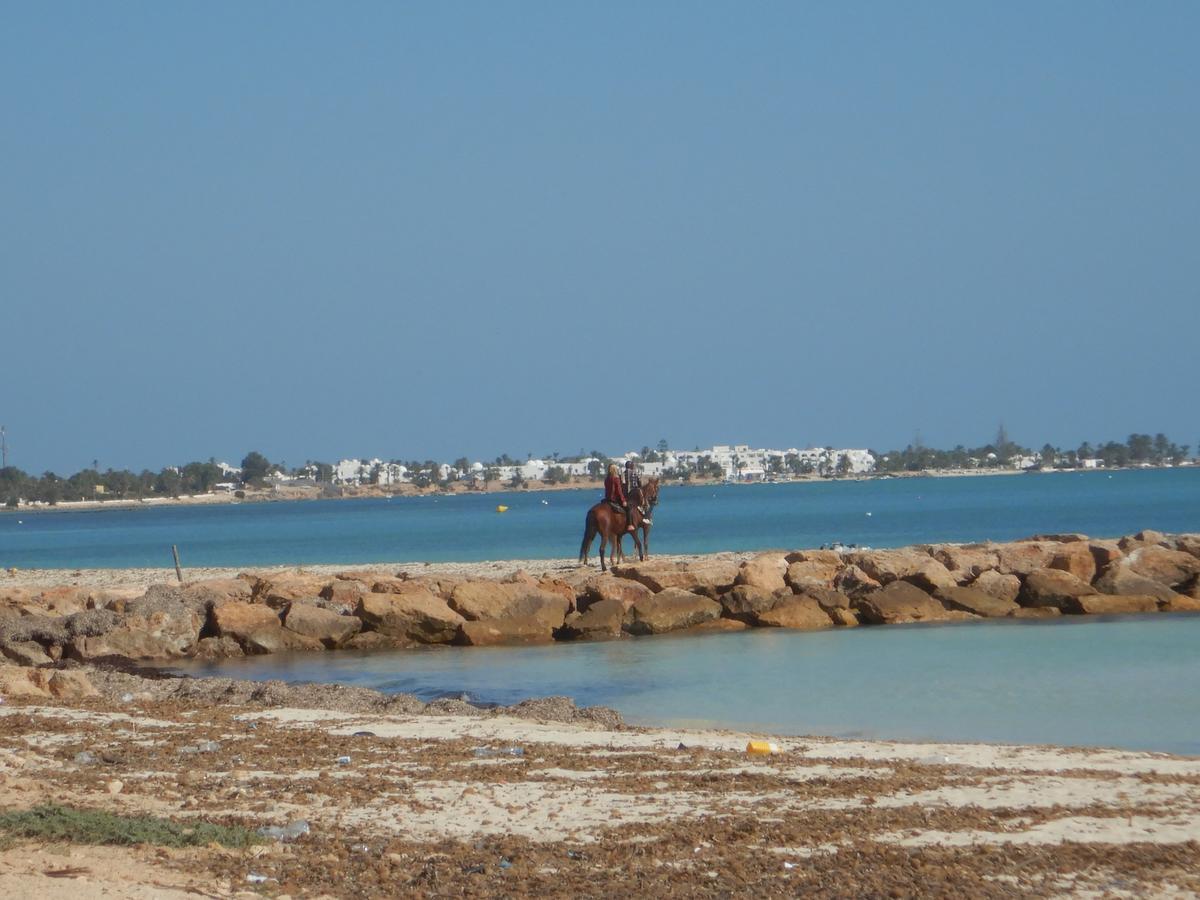 Maison Les Palmiers 300M De La Plage 阿格希尔 外观 照片